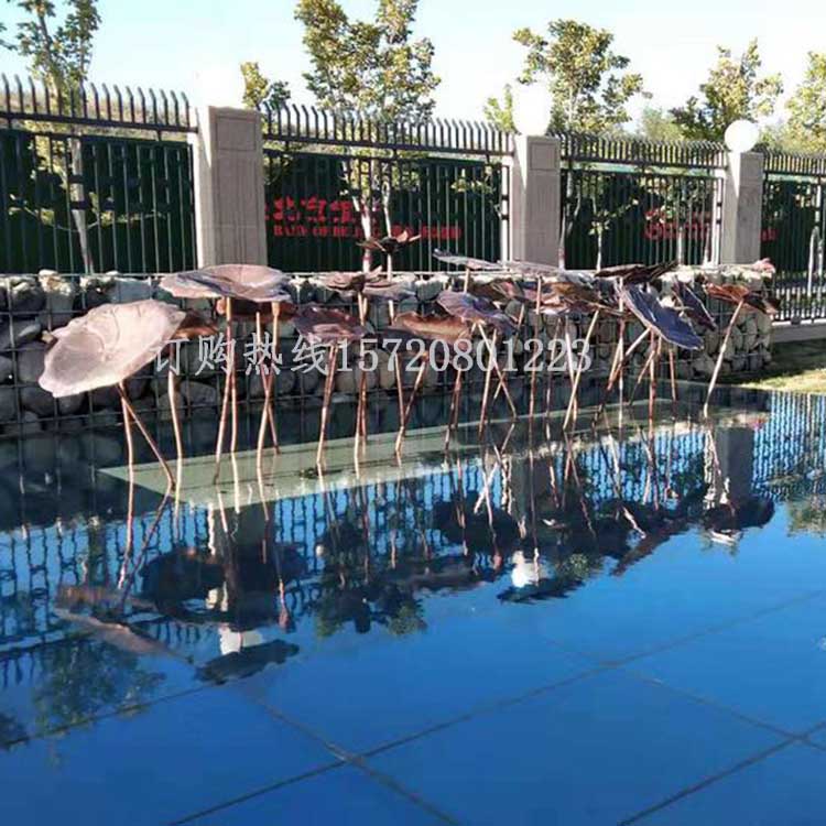 荷葉1.jpg 荷葉1.jpg